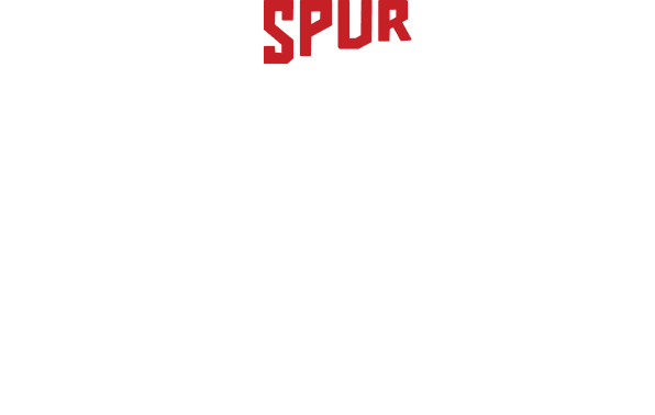 Spur Loyalty International